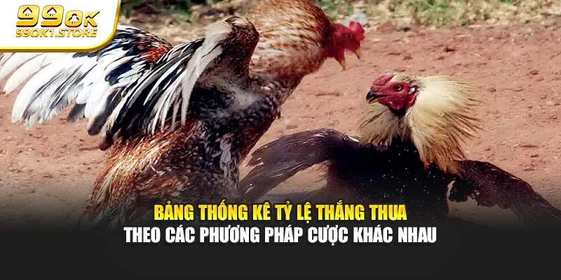 Bảng thống kê tỷ lệ thắng thua theo các phương pháp cược khác nhau