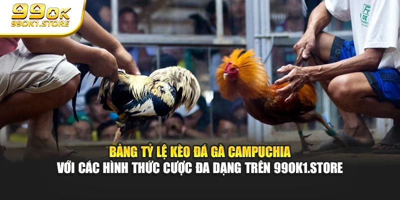 Bảng tỷ lệ kèo đá gà Campuchia với các hình thức cược đa dạng trên 99ok1.store