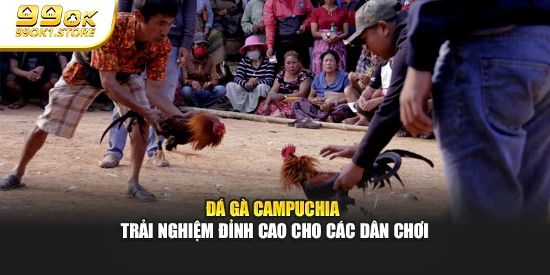 Đá Gà Campuchia - Trải Nghiệm Đỉnh Cao Cho Các Dân Chơi