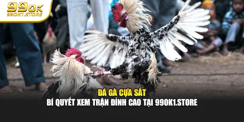 Đá Gà Cựa Sắt - Bí Quyết Xem Trận Đỉnh Cao Tại 99ok1.store
