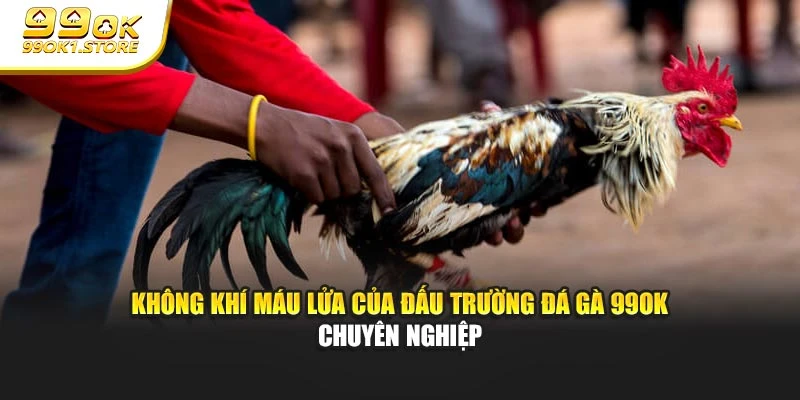 Không khí máu lửa của đấu trường đá gà 99OK chuyên nghiệp