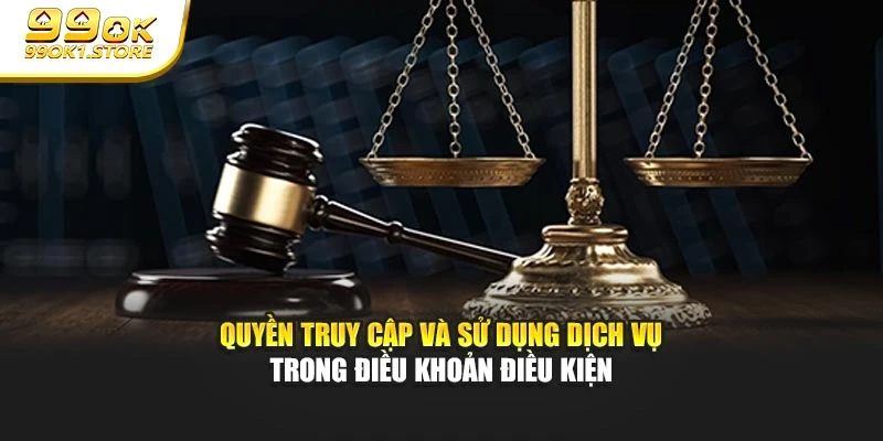 Quyền truy cập và sử dụng dịch vụ trong điều khoản điều kiện