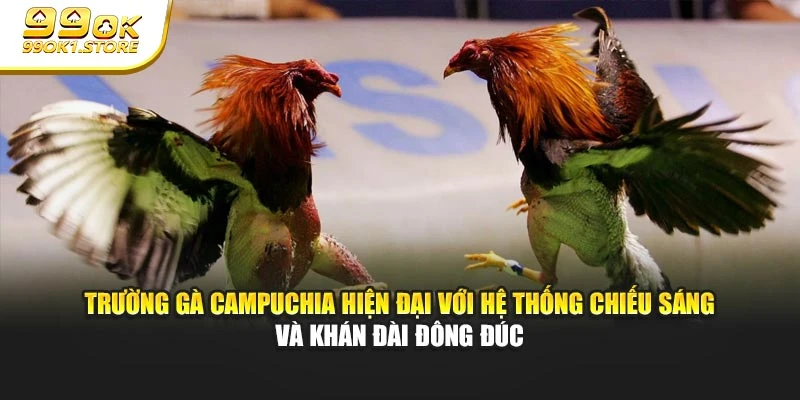 Trường gà Campuchia hiện đại với hệ thống chiếu sáng và khán đài đông đúc
