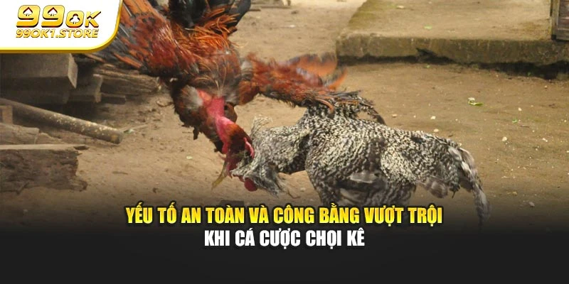 Yếu tố an toàn và công bằng vượt trội khi cá cược chọi kê